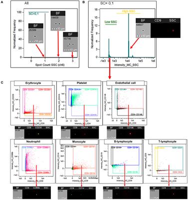 The Concentration of Large Extracellular Vesicles Differentiates Early Septic Shock From Infection